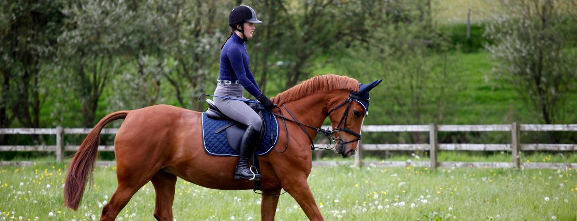 Flatwork Exercises for Horses 