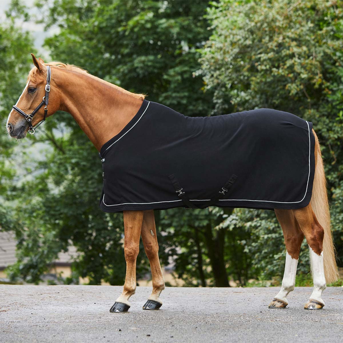 horse wearing a black fleece rug