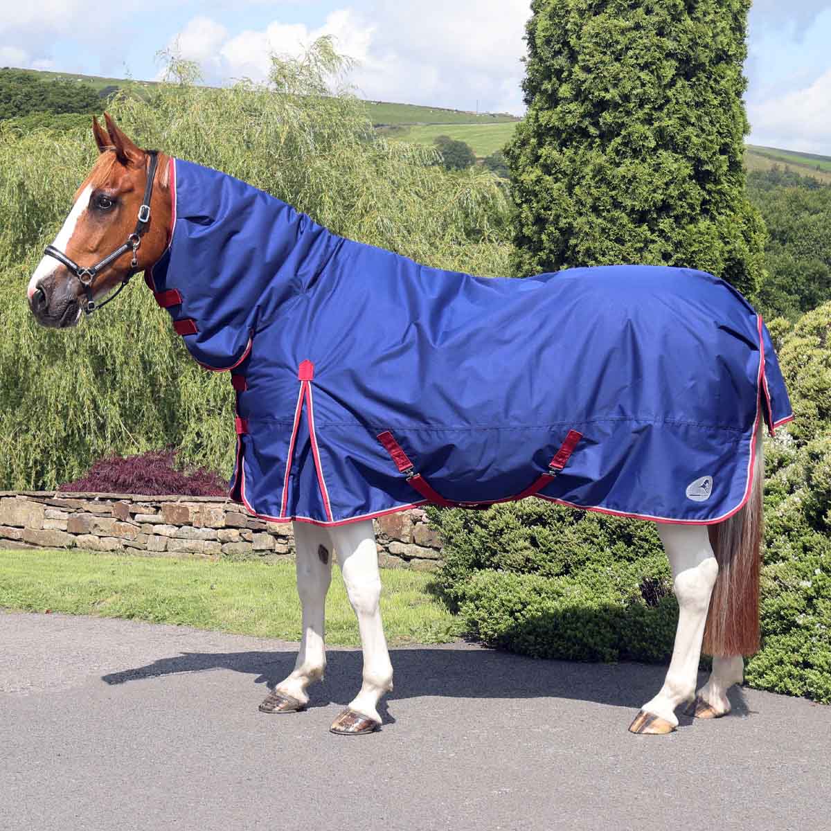 horse wearing a blue ventomasta turnout rug